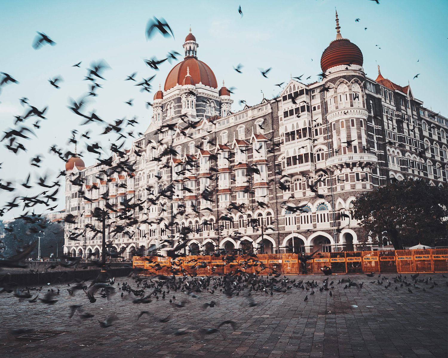 india